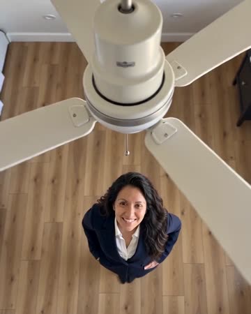 Ceiling Fan Trend